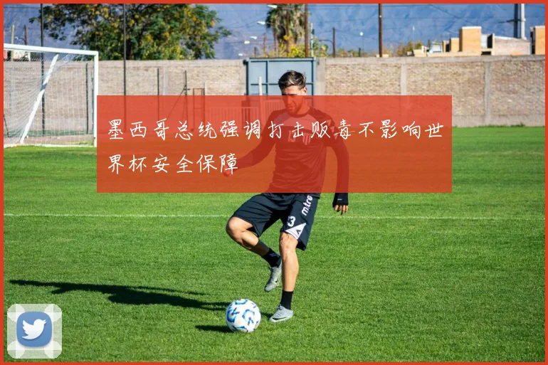 墨西哥总统强调打击贩毒不影响世界杯安全保障