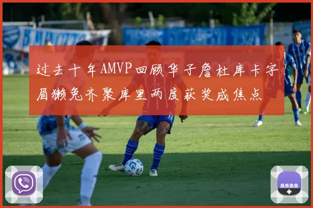 过去十年AMVP回顾华子詹杜库卡字眉獭兔齐聚库里两度获奖成焦点